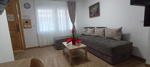 img-20250624-192308-scaled